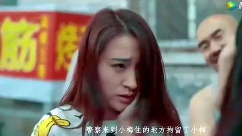 电影伦理片国产,伦理片中的家国情怀与道德探索